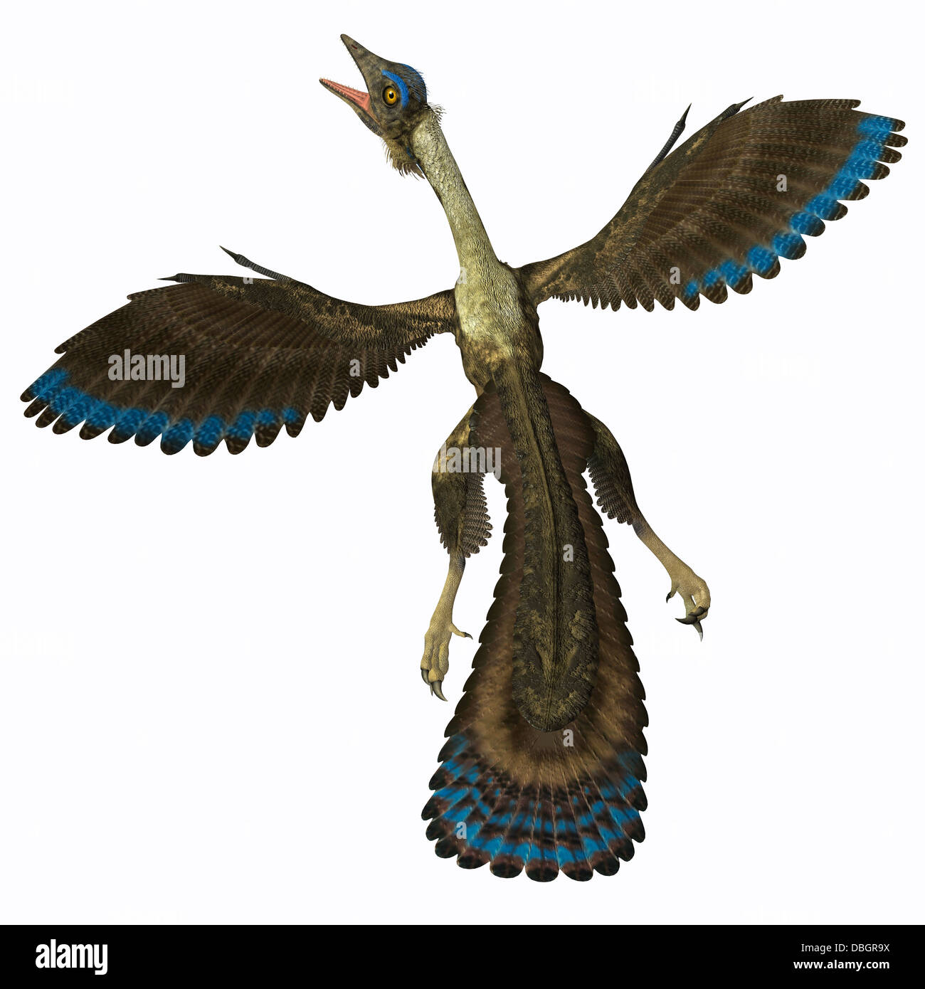 Pterodactyl stock photo. Image of brutal, archeopteryx - 45412668