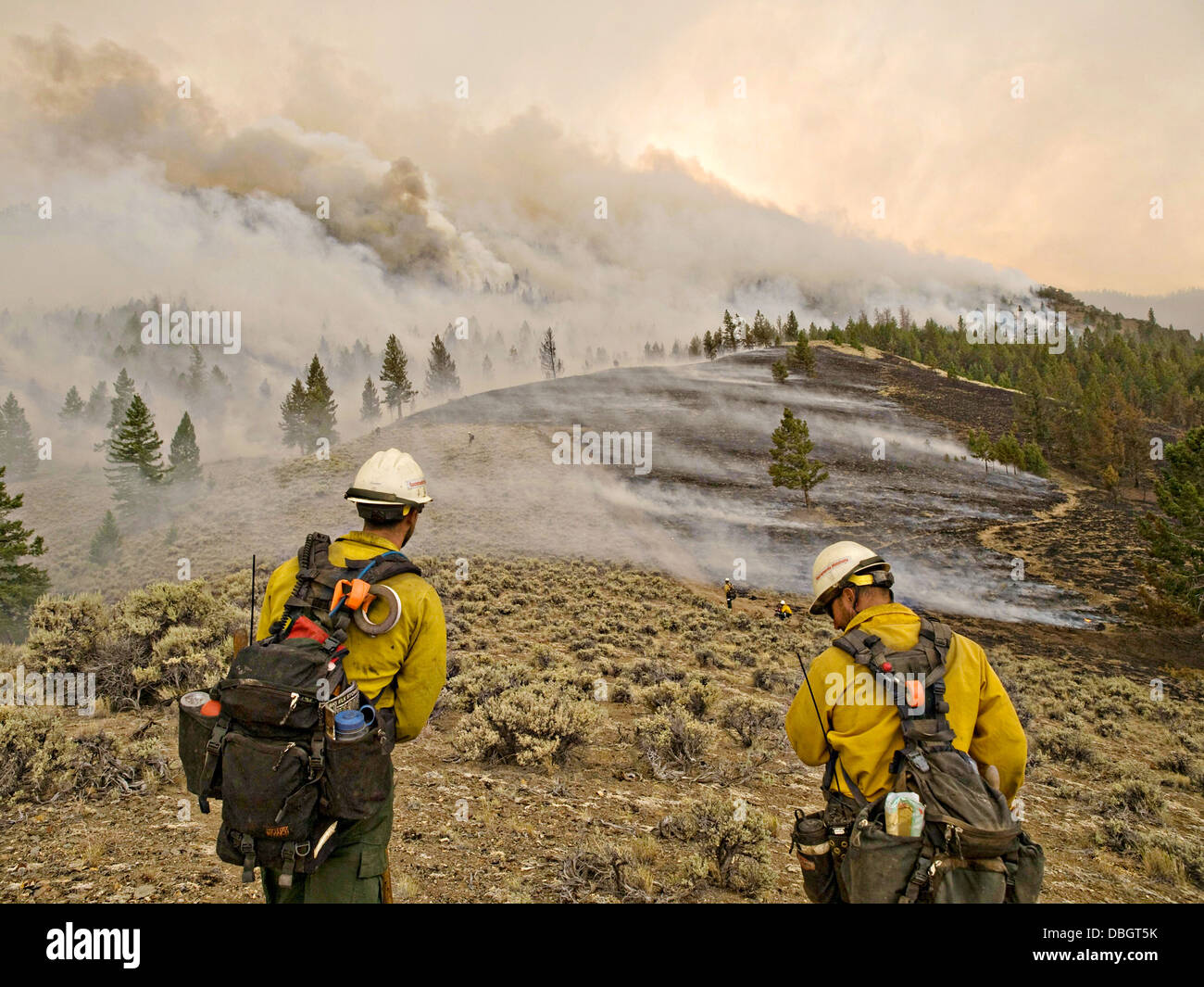 US Forest service hotshot firefighters work to contain the Lodgepole