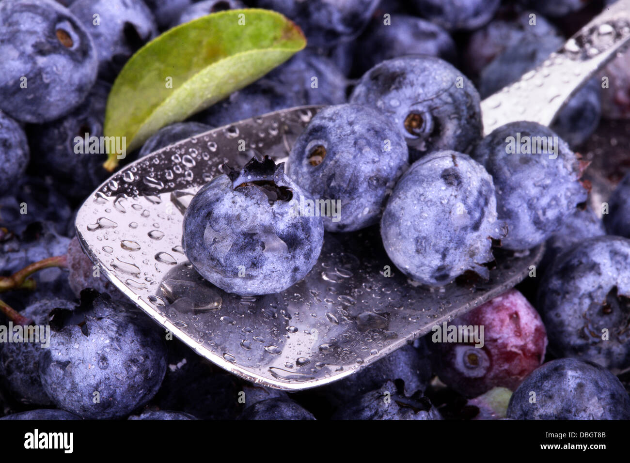 Fresh Bilberries. Closeup background with water drops Stock Photo Alamy