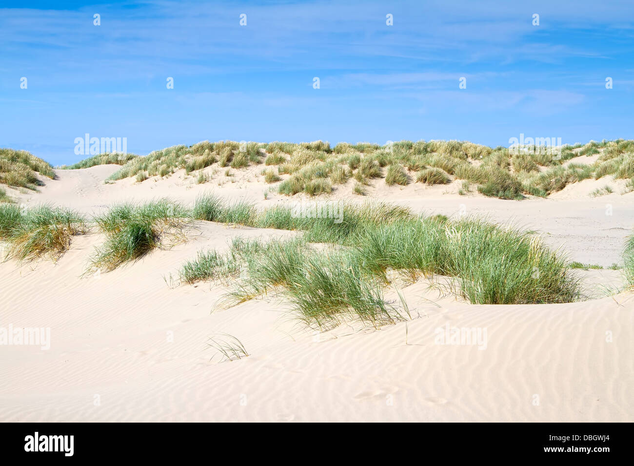 Sand dunes on beach at Barmouth North Wales UK Stock Photo