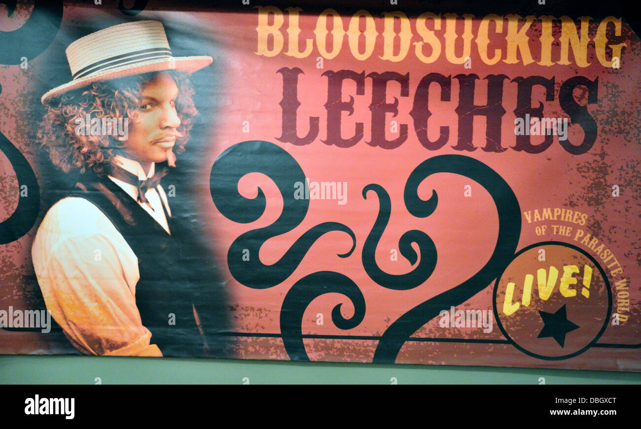Poster on leeches displayed at the Science Museum of Western Virginia