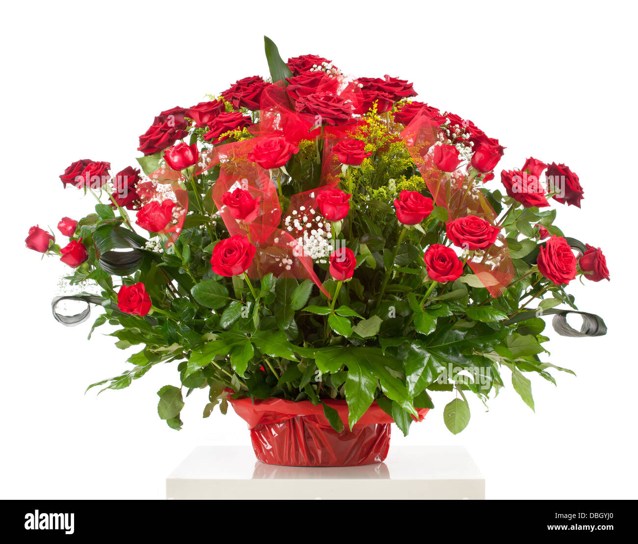 Basket with fifty red roses isolated on white background Stock Photo