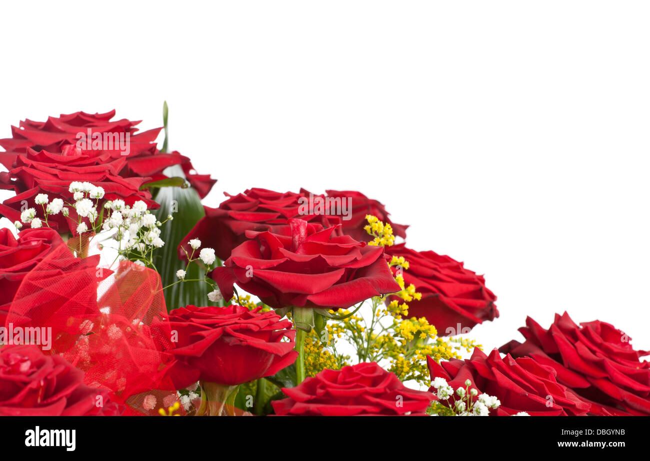 Corner of red roses isolated on white background Stock Photo - Alamy