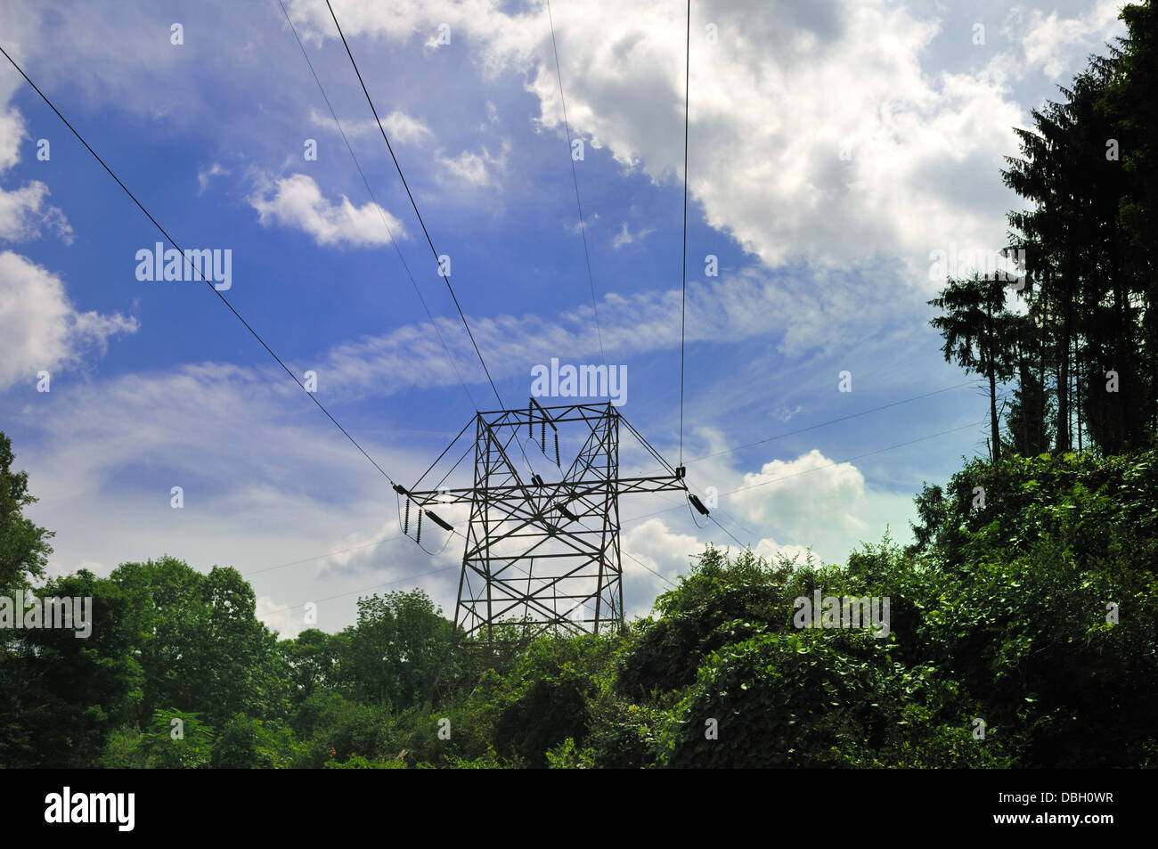 Electric wires and tower in a rural setting Stock Photo
