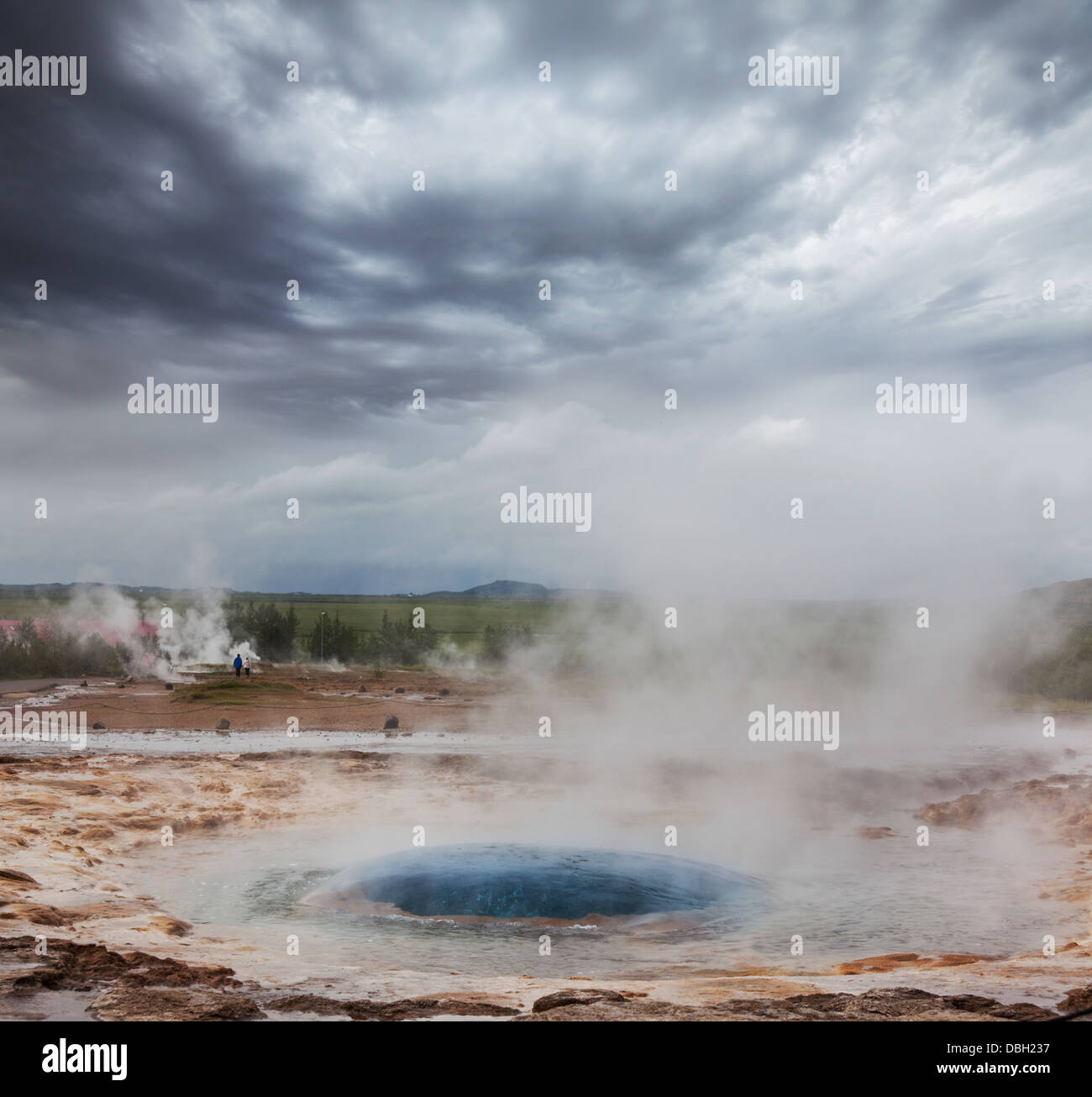Geyser in Iceland Stock Photo - Alamy