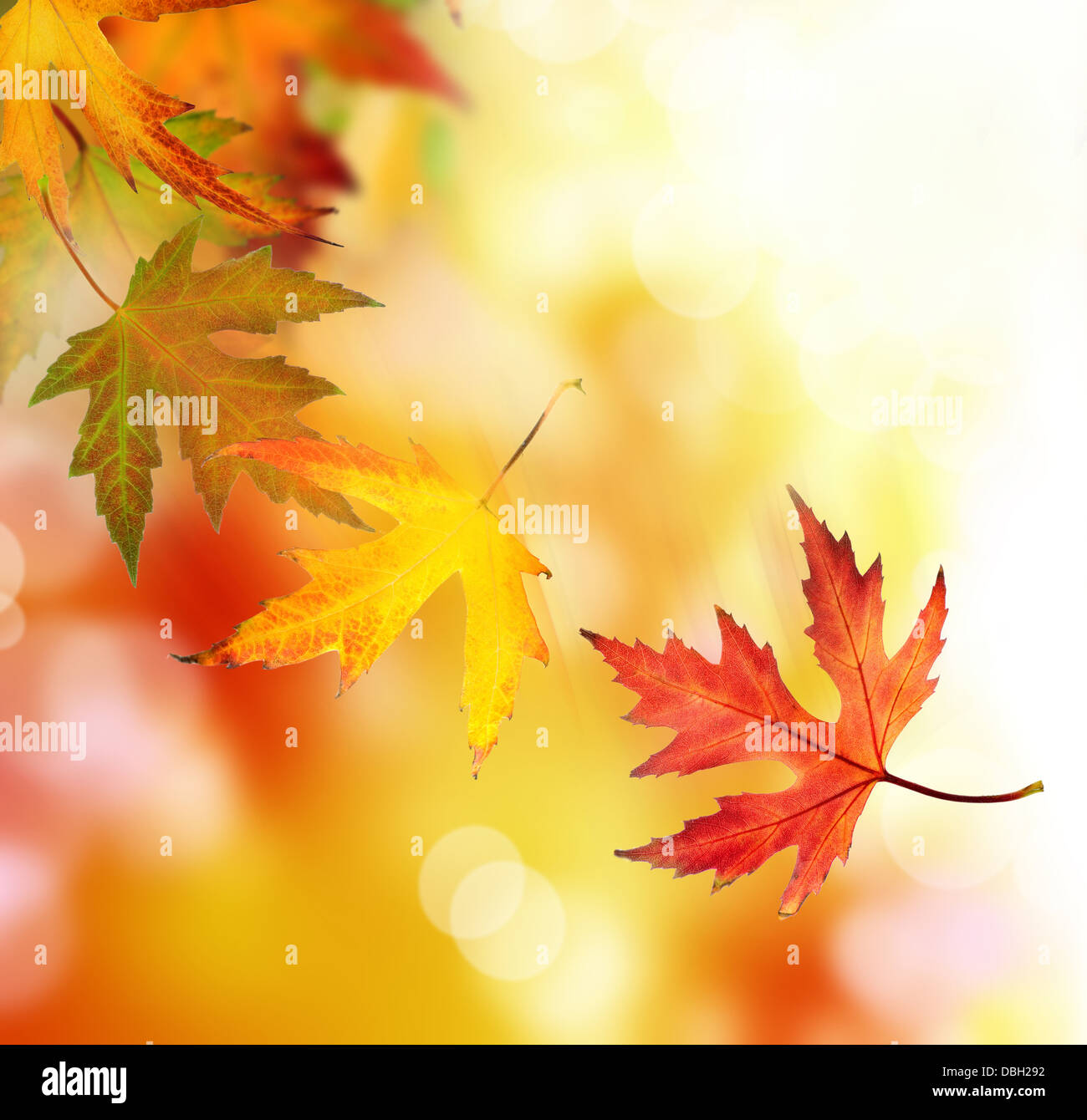 Beautiful textured background hi-res stock photography and images - Alamy
