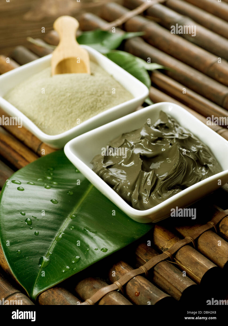 Spa Mud Mask Stock Photo Alamy