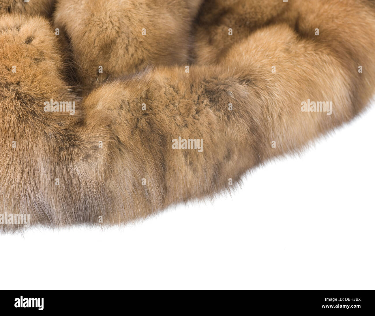Luxury Fur. Russian Sable Isolated On White Stock Photo - Alamy Luxury Fur. Russian Sable Isolated On White Stock Photo - Alamy