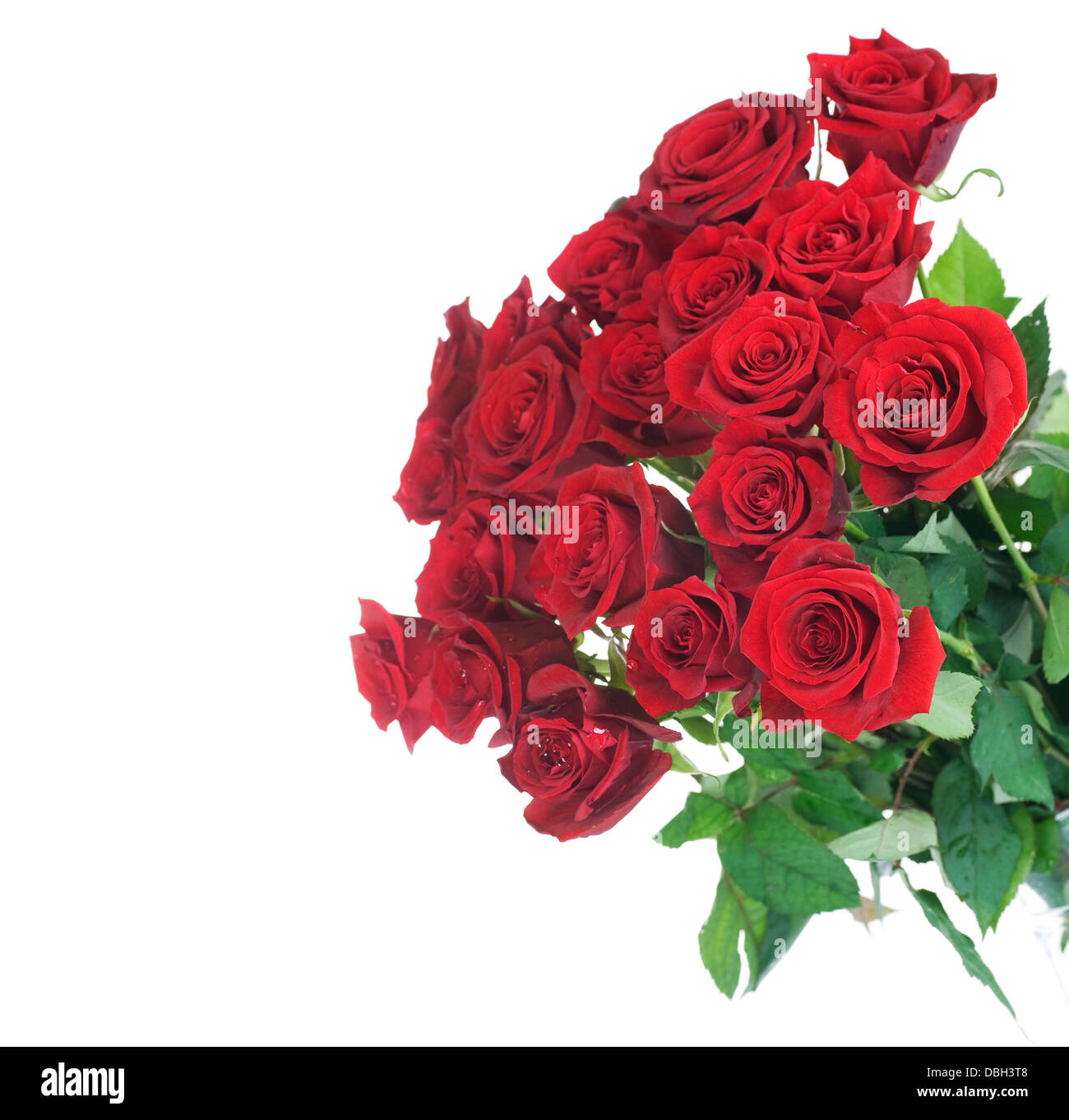 Big Red Roses Bouquet Stock Photo - Alamy