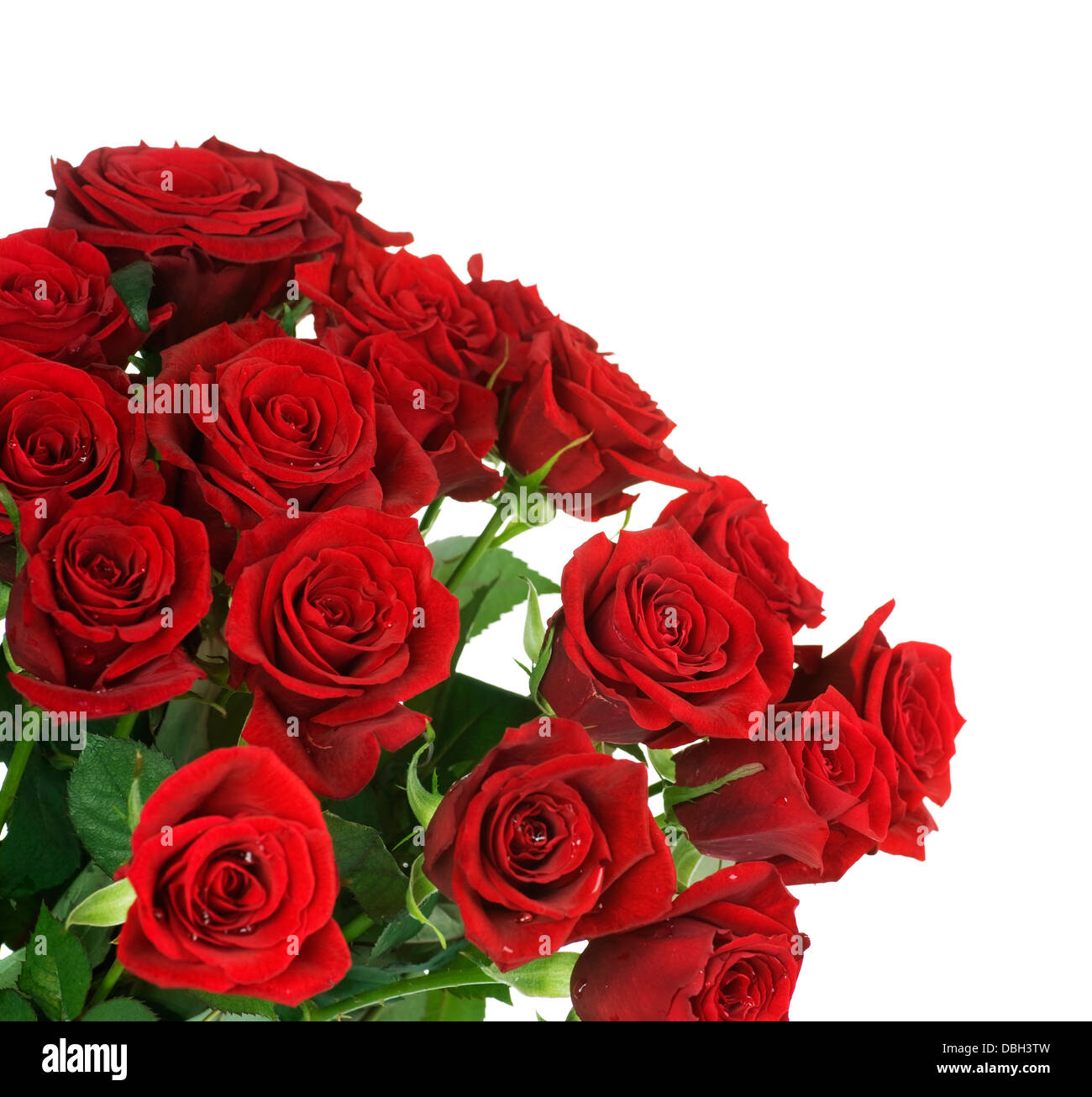 Big Red Roses Bouquet border Stock Photo - Alamy