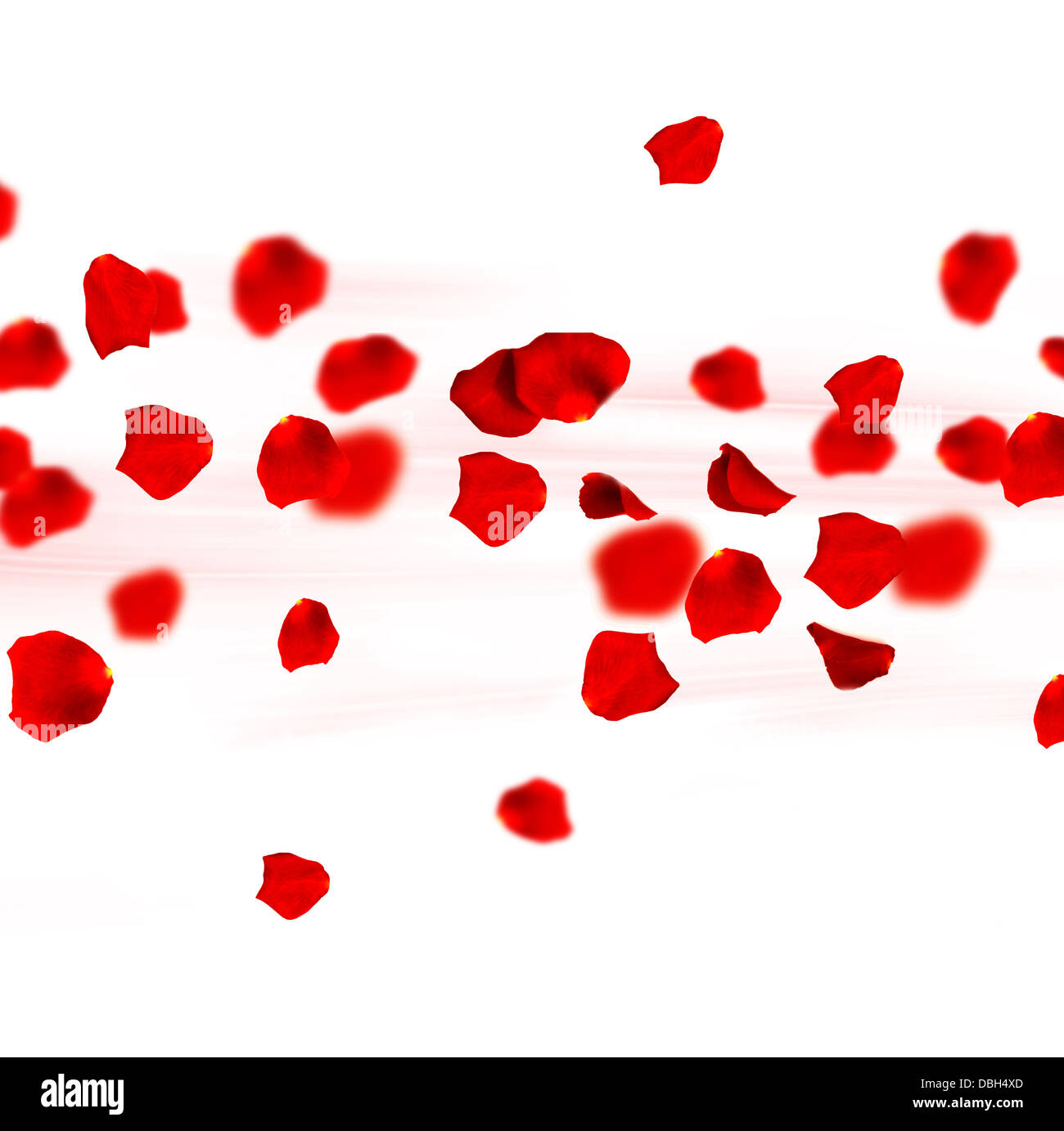 Roses Petals In Motion Stock Photo Alamy