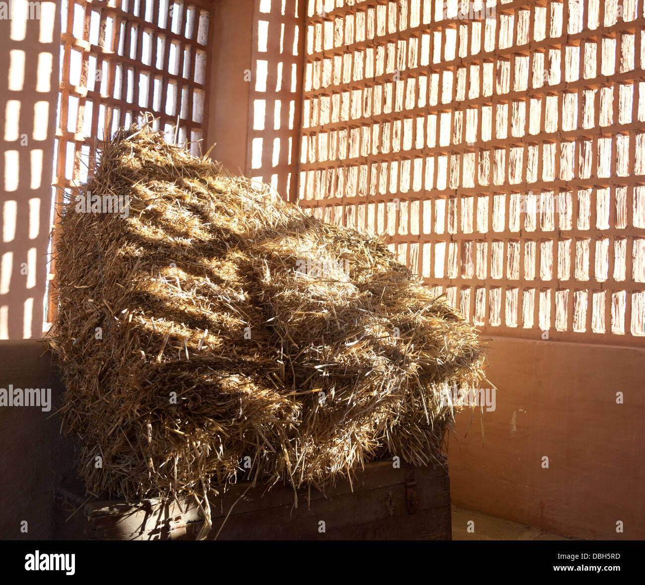 My Image 31