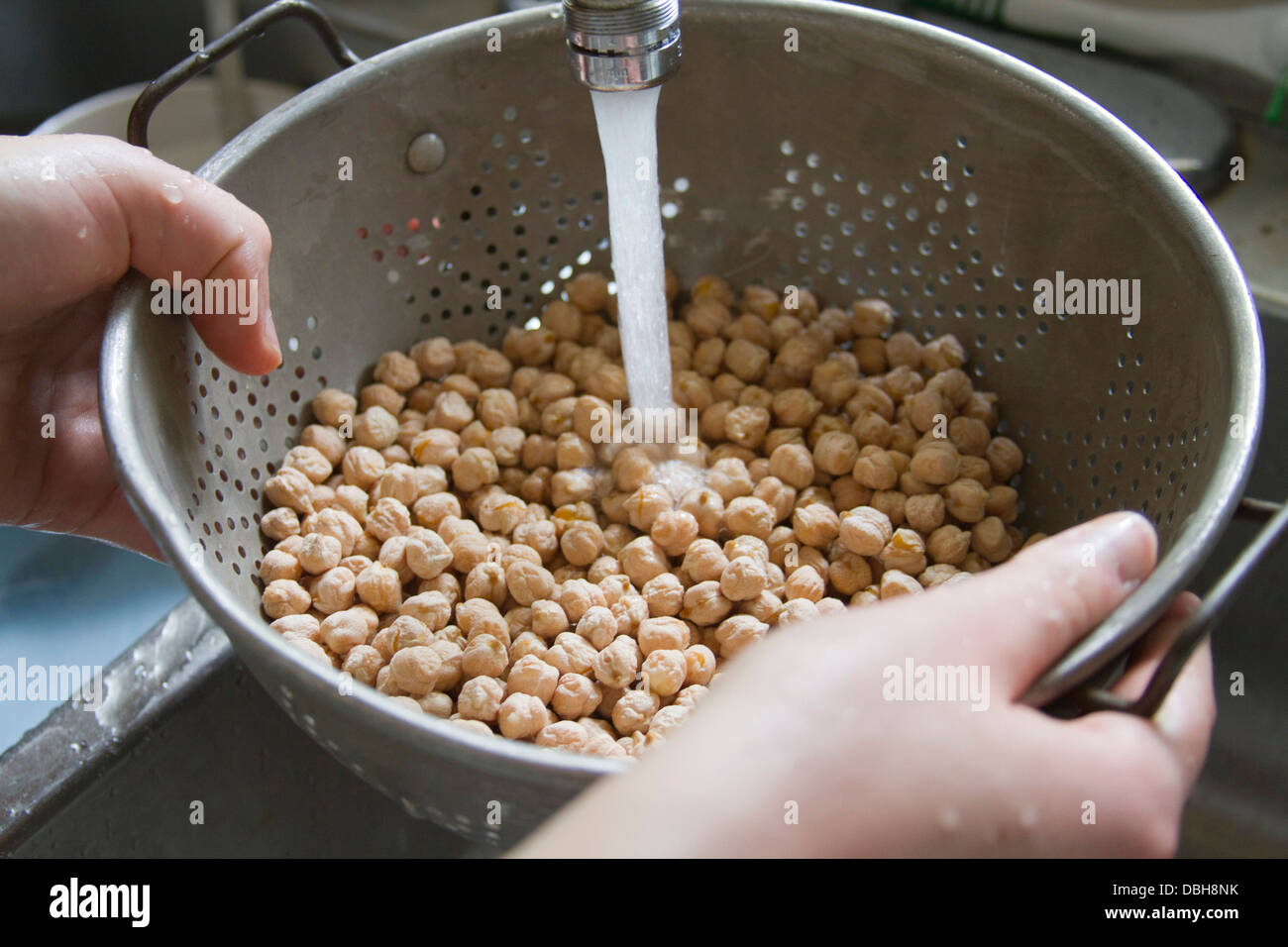 Close up of hands washing a colander full of dry garbanzo beans under a running faucet Stock Photo