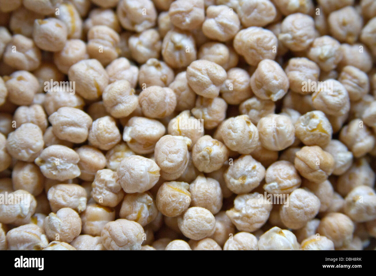 Close up of dried garbanzo beans Stock Photo