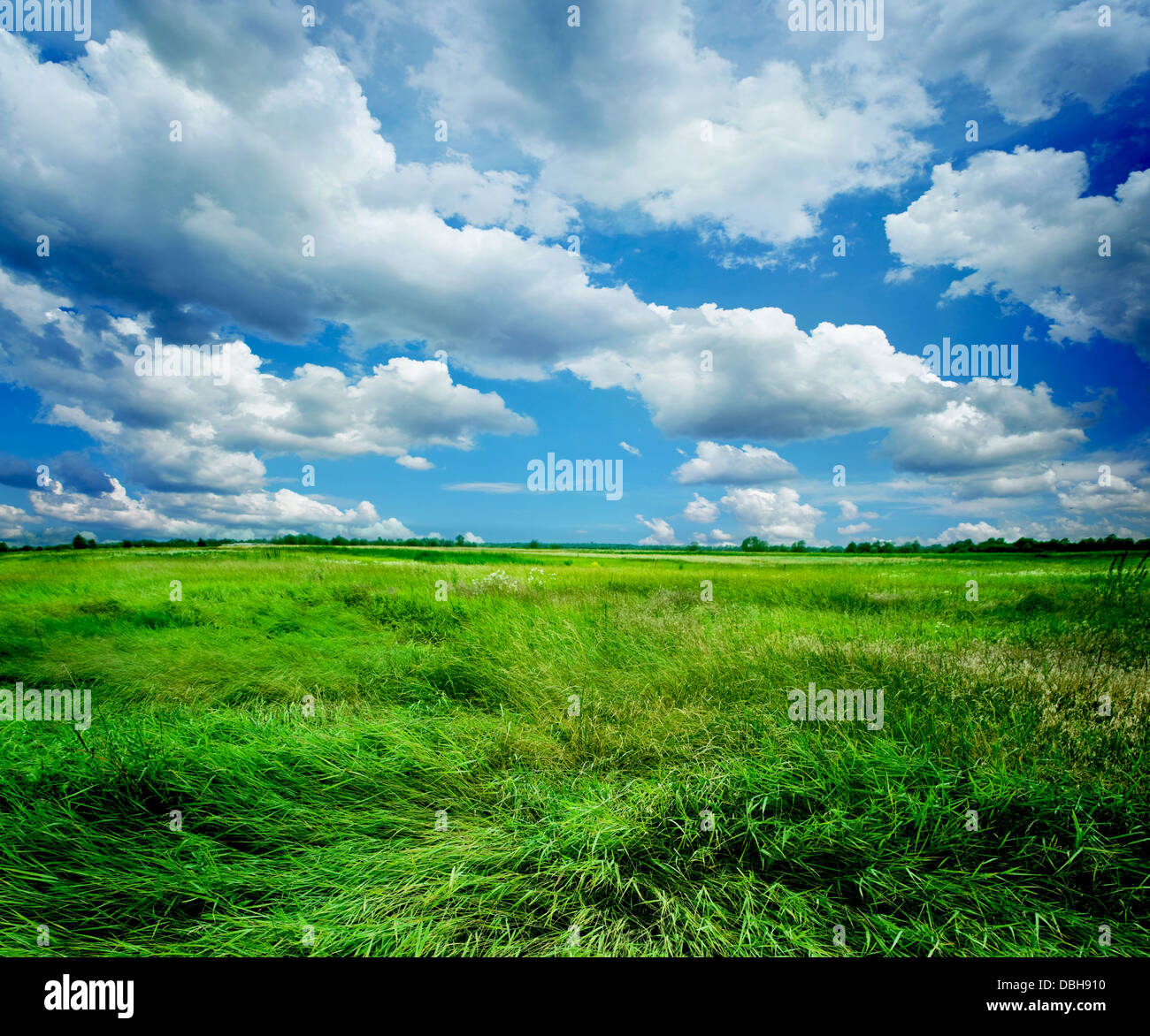 Beautiful art of nature hi-res stock photography and images - Alamy