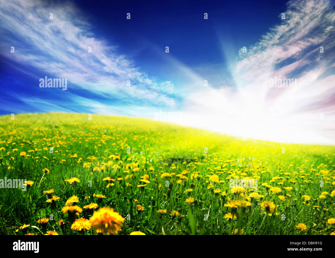 Summer summertime spring springtime outside outdoor hi-res stock ...