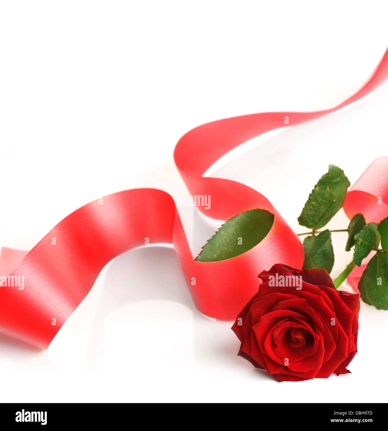 Red Rose And Ribbon Stock Photo Alamy