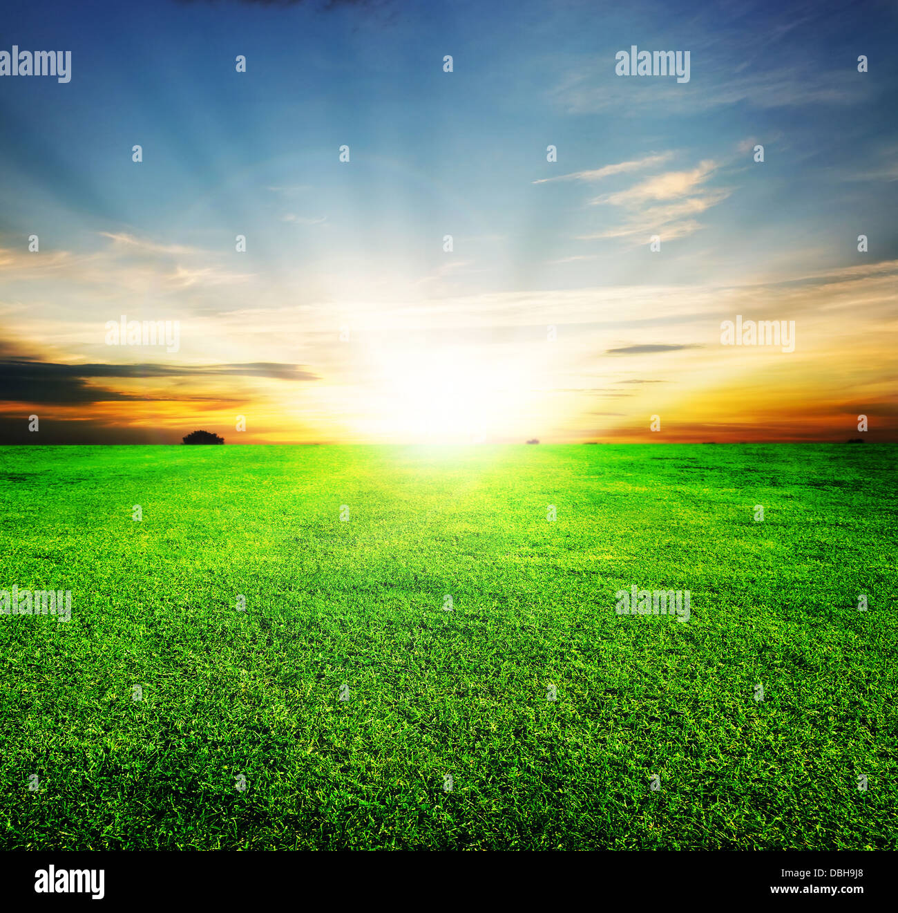 Green Field And Beautiful Sunset Stock Photo - Alamy