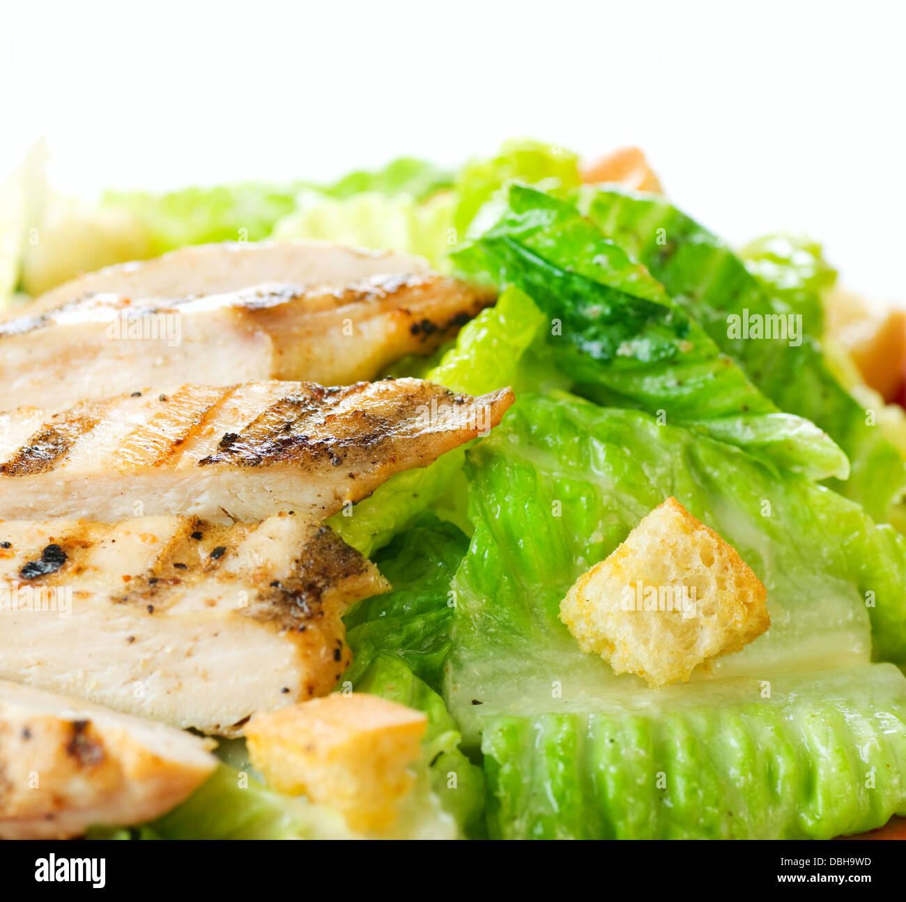 Caesar salad cos lettuce hires stock photography and images Alamy