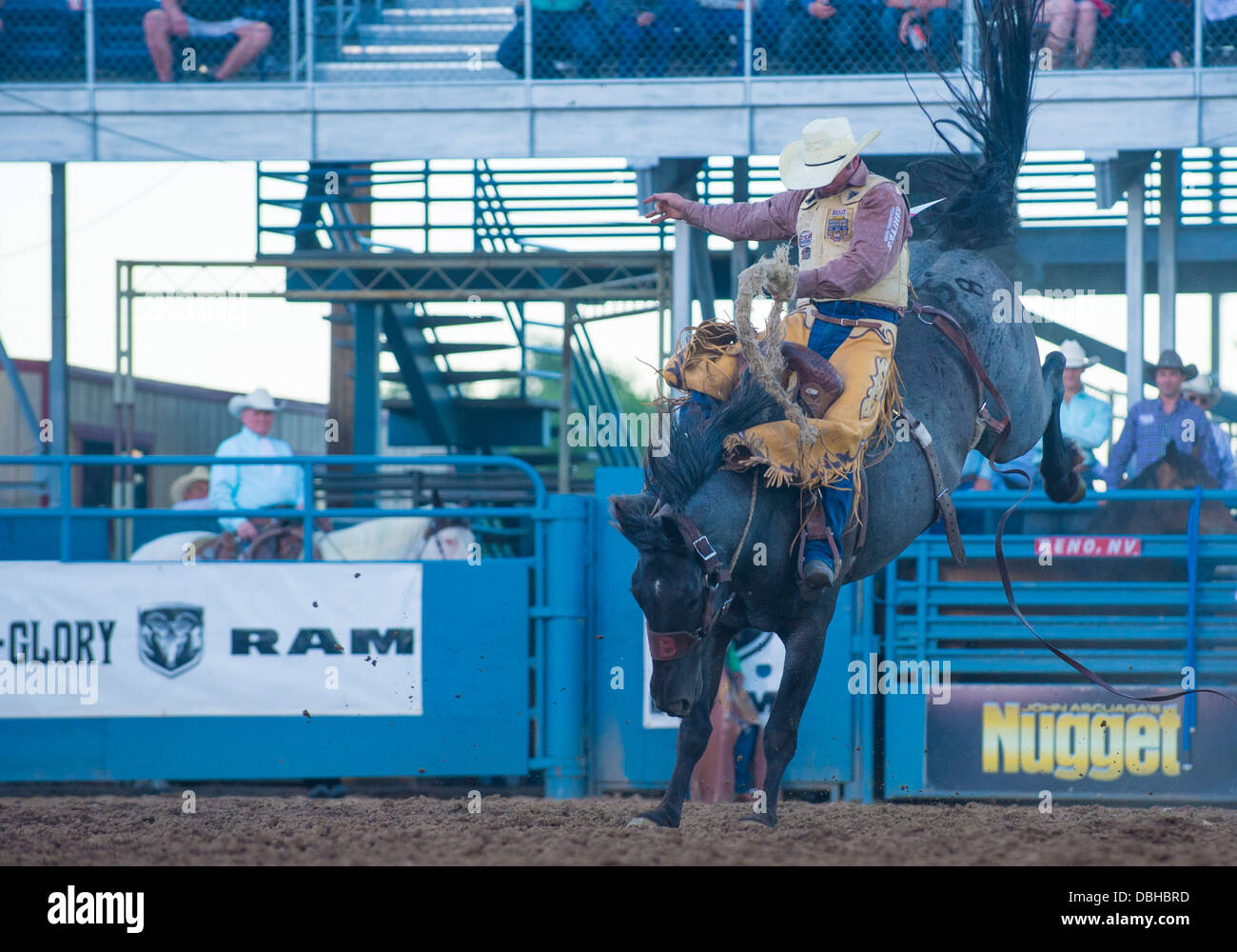 Saddle bronc riding a bronco arizona hi-res stock photography and ...