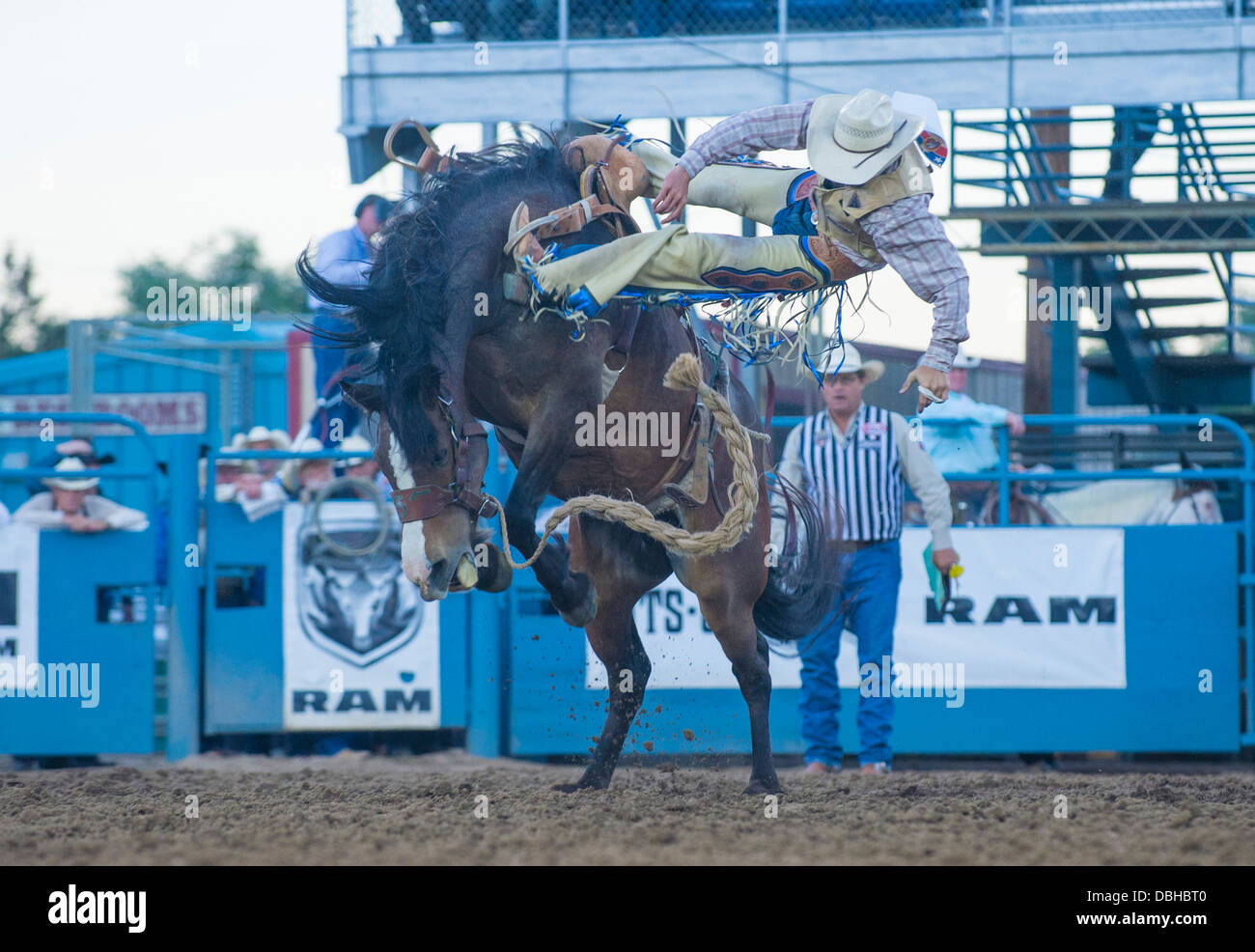 Saddle Bronc Riding A Bronco Arizona High Resolution Stock Photography ...