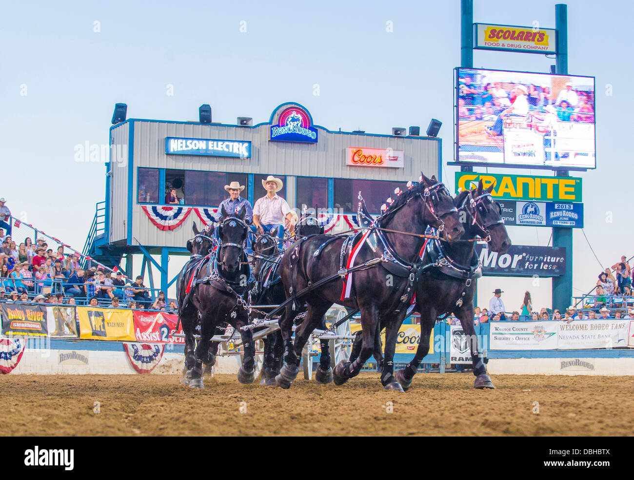 Horsedrawn wagon Participate at the Reno Rodeo a Professional Rodeo