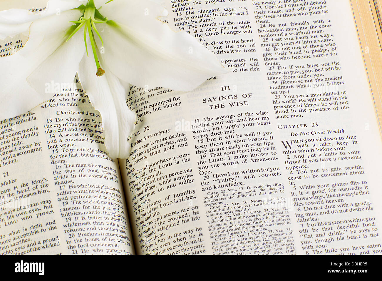 Lily bible hires stock photography and images Alamy