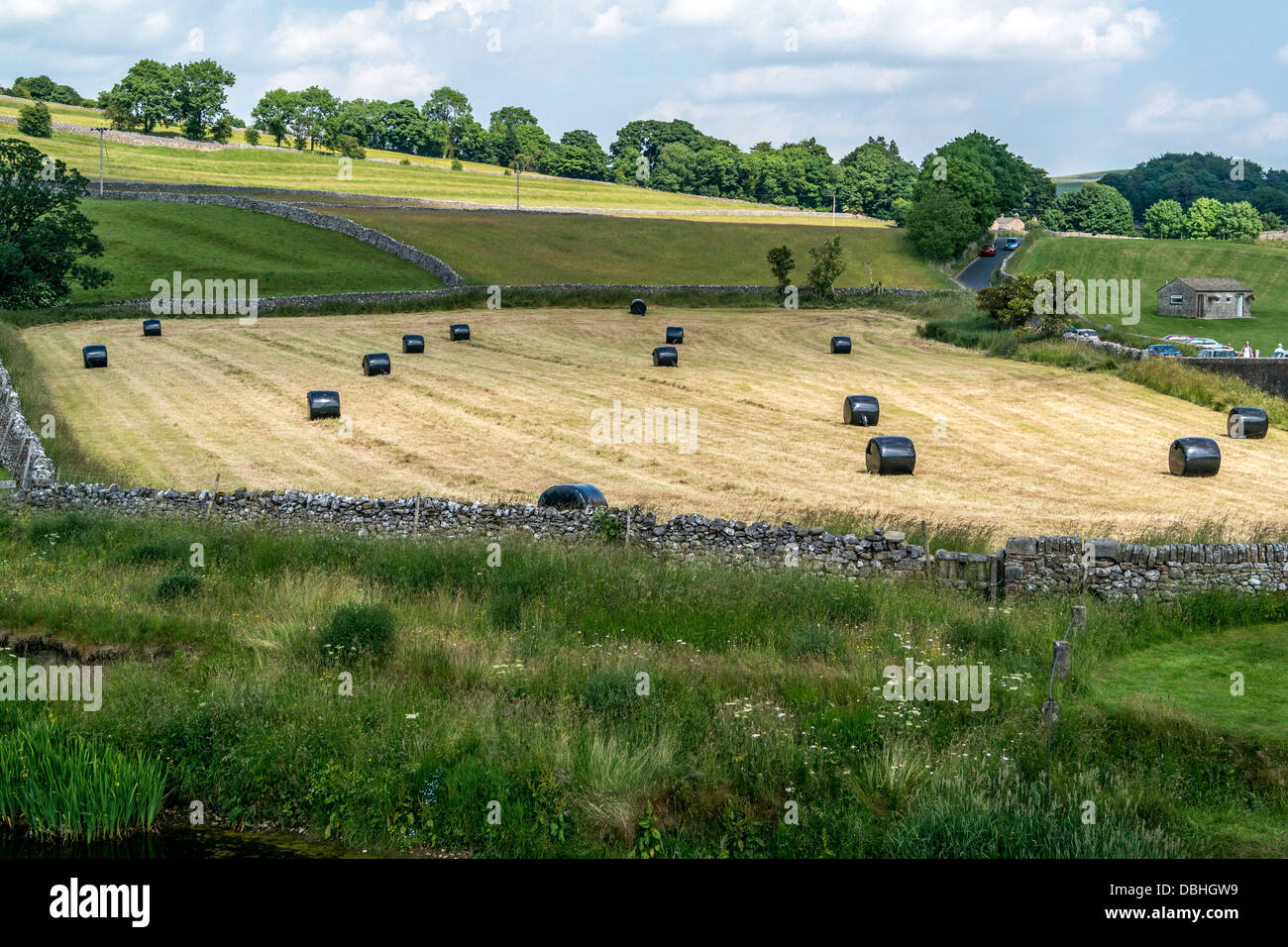 Black Bales of silage in farmers field Stock Photo