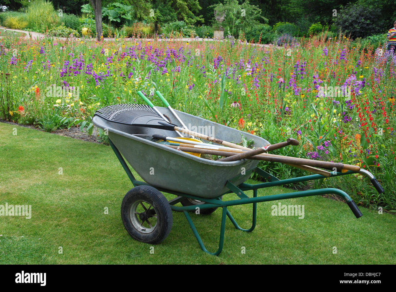 wheelbarrow with gardening tools in garden Stock Photo