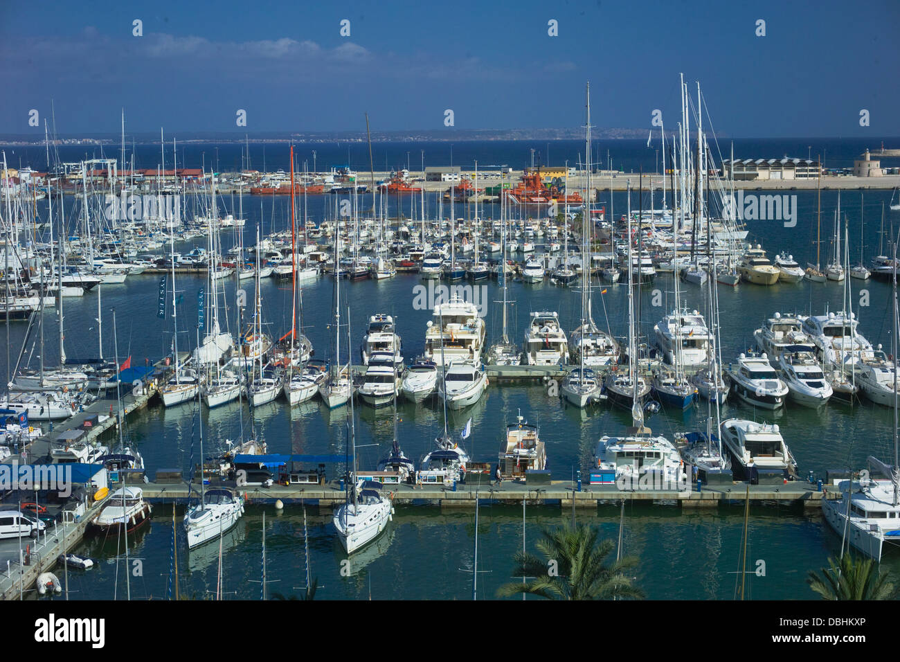 Marina moorings, Palma de Mallorca Stock Photo Alamy