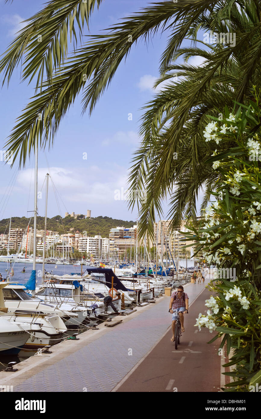 The waterside path for walking and cycling, alongside the boats in the marina at Palma de Mallorca Stock Photo
