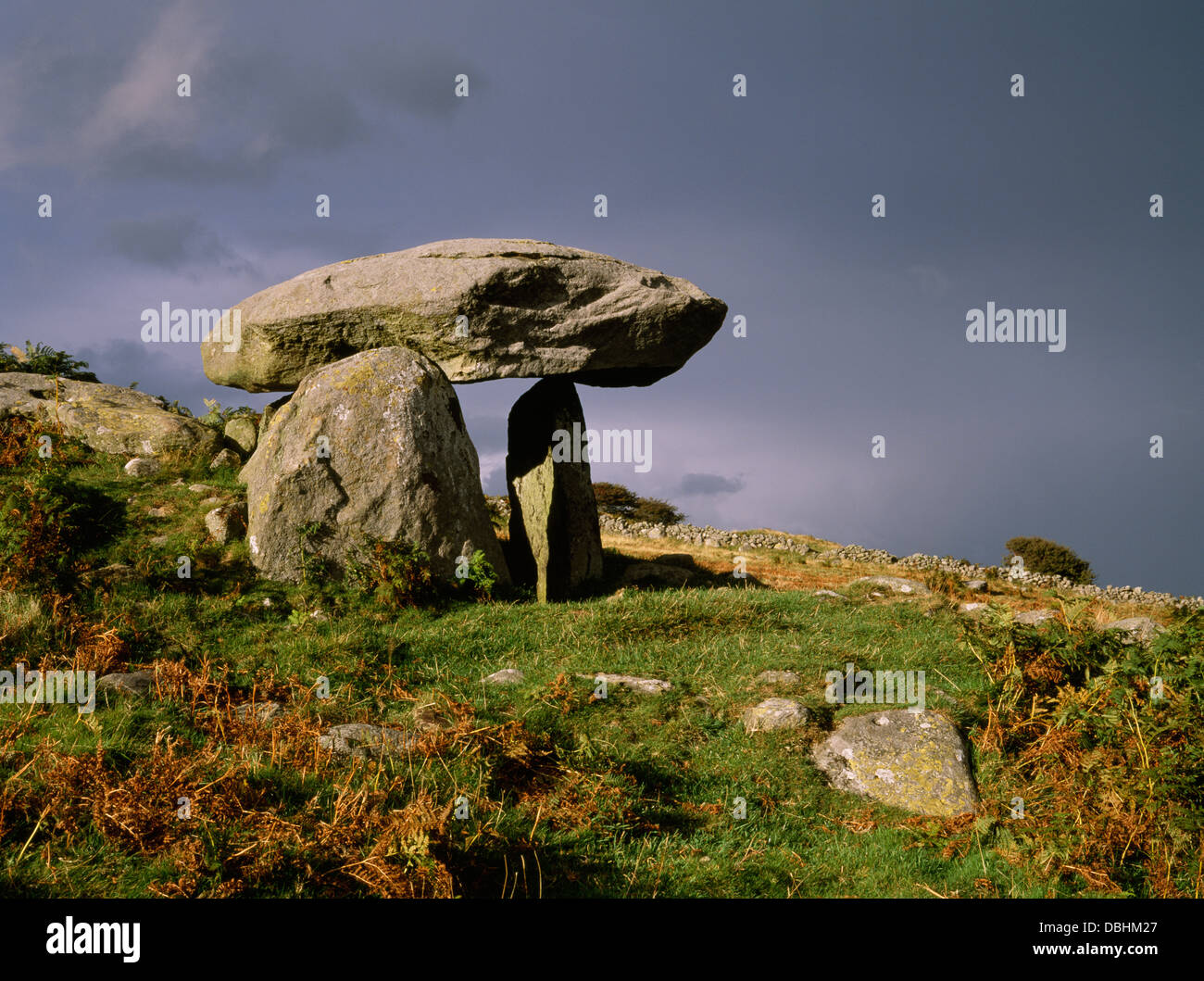 Looking NNE at the exposed chamber stones of Maen y Bardd Neolithic ...