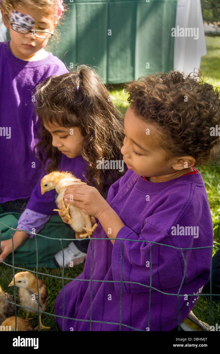 Visually impaired children play with baby chicks at an Easter picnic given by the Blind Children's Learning Center Stock Photo