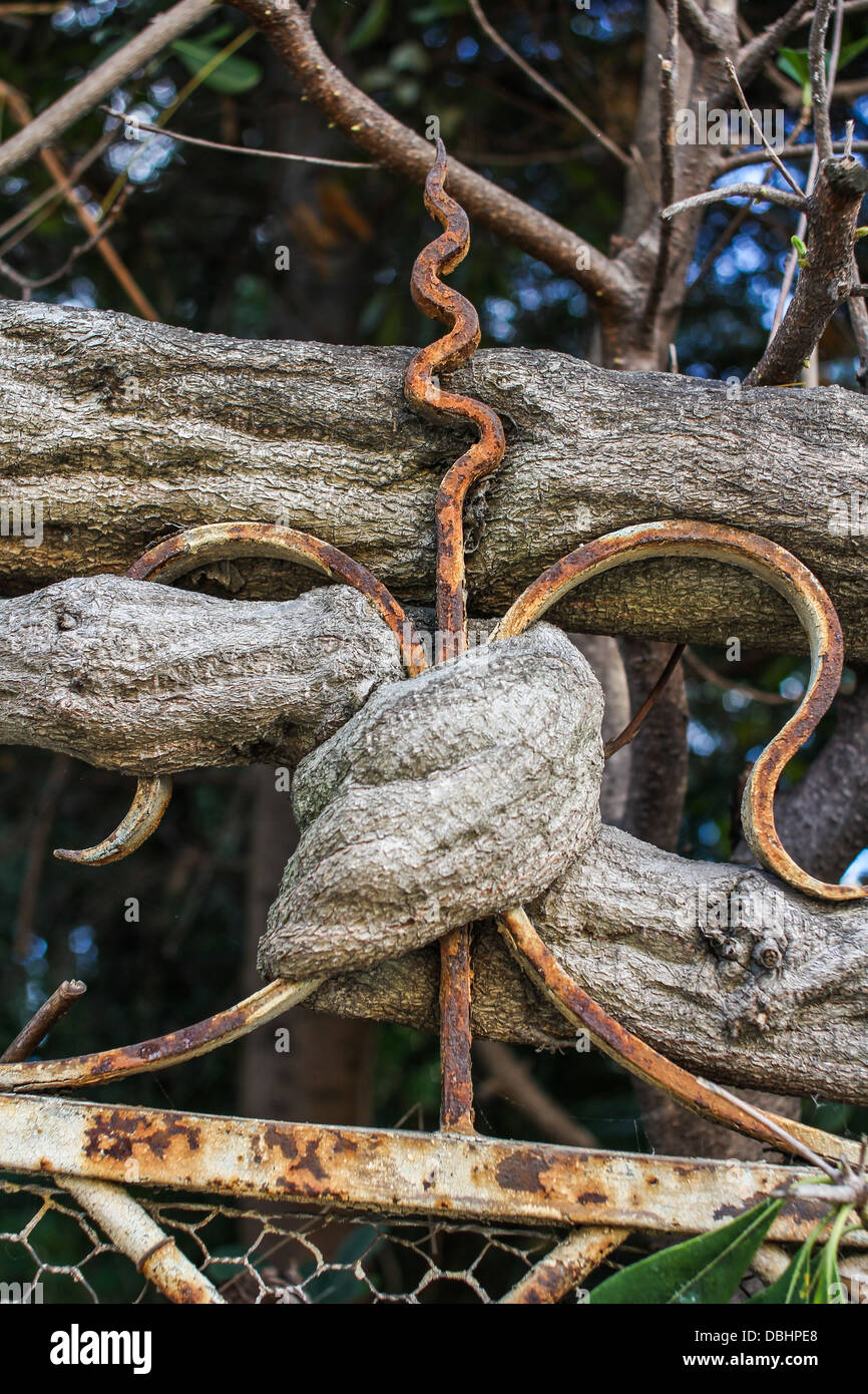 Rustic branch fence hi-res stock photography and images - Alamy
