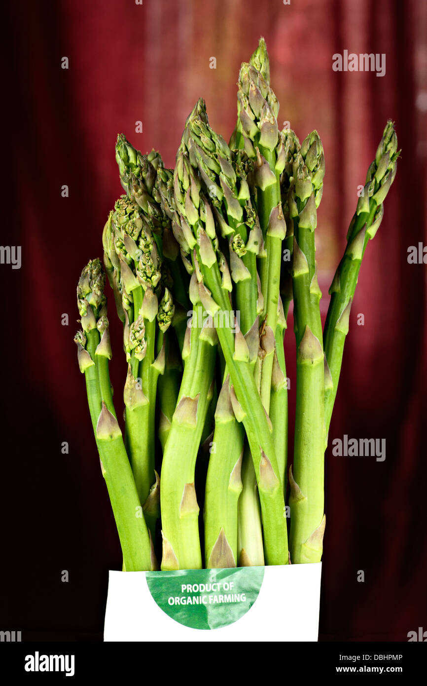 Bundle of Organic green Asparagus Stock Photo