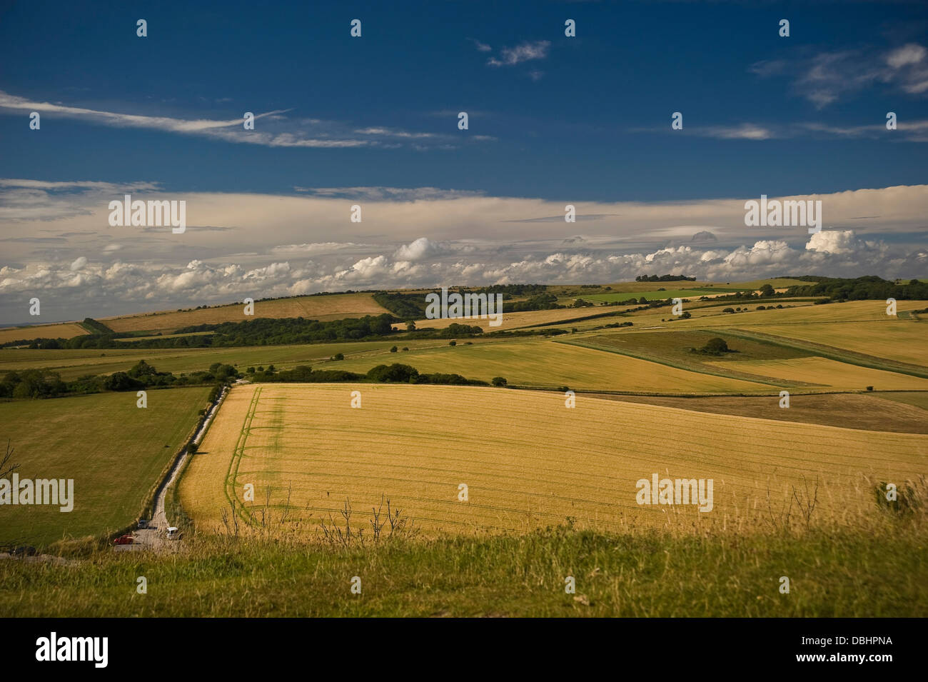 View of Chanctonbury Ring on the South Downs from Cissbury Rings near Worthing, West Sussex, UK Stock Photo