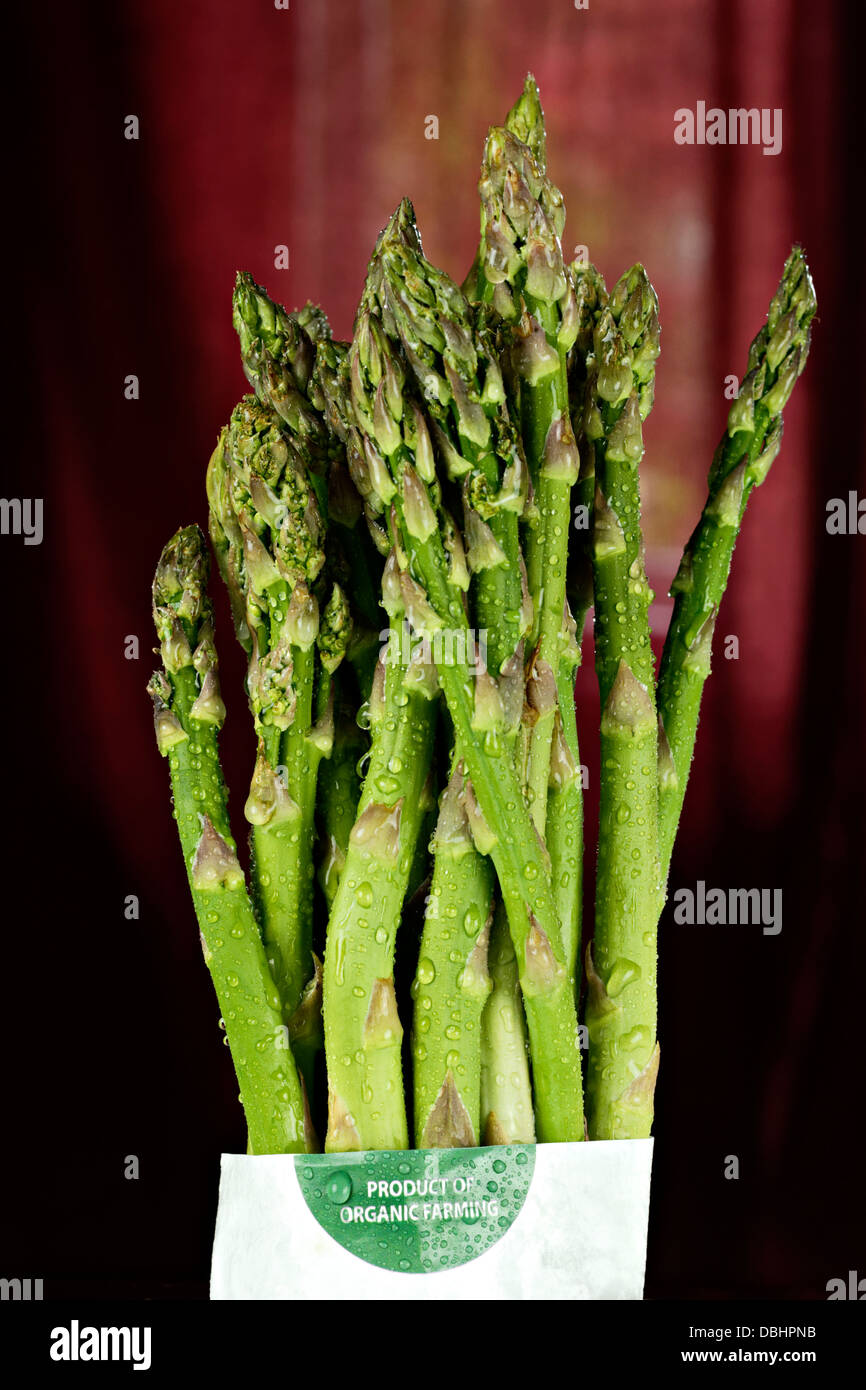 Wet Bundle of Organic green Asparagus Stock Photo