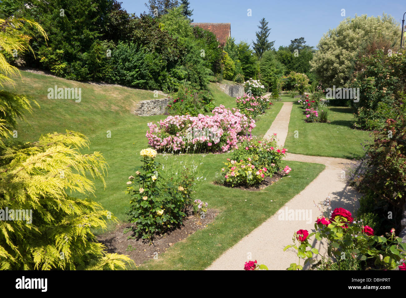The rose garden in the municipal park at Descartes in the Loire Valley Stock Photo
