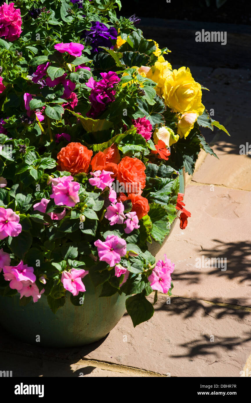 Pots filled with colourful summer bedding plants. Stock Photo
