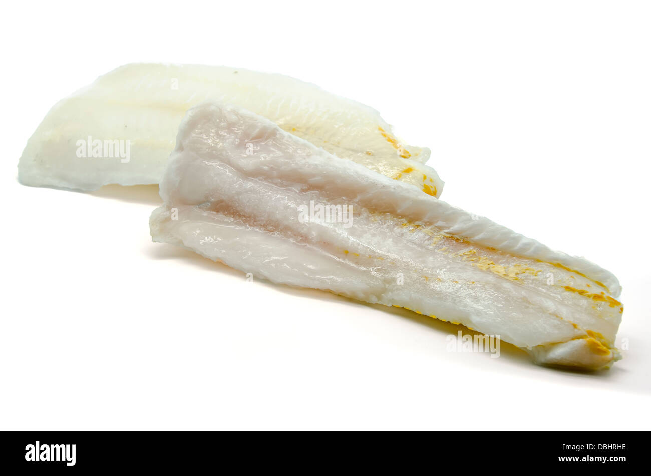 Frozen hake fillets on white backgrouns Stock Photo