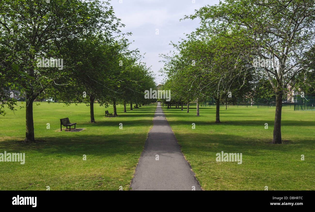 Pathway through traditional british park, Cambridge, UK Stock Photo Alamy