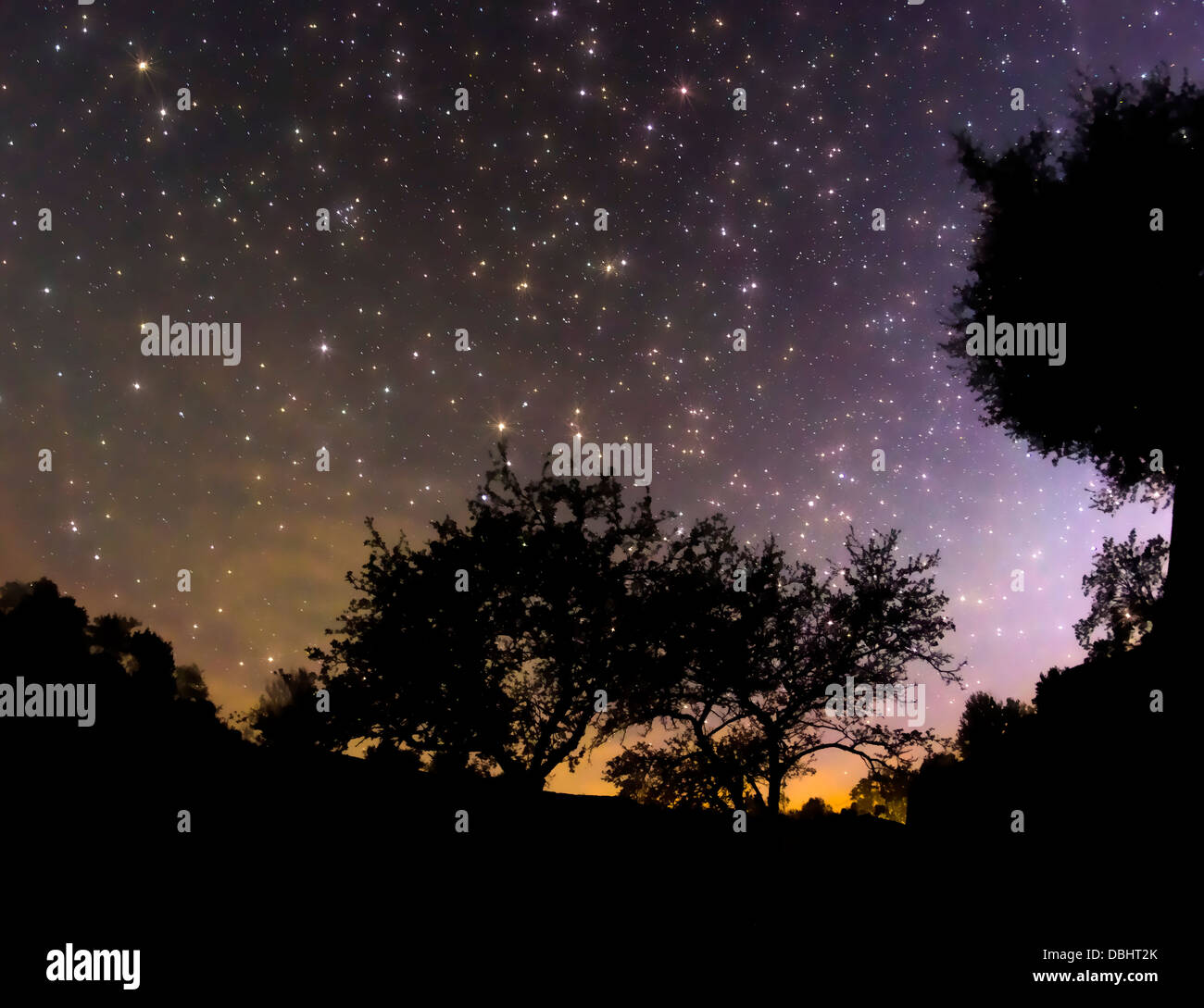 Starry sky in the village, trees and sunset Stock Photo - Alamy