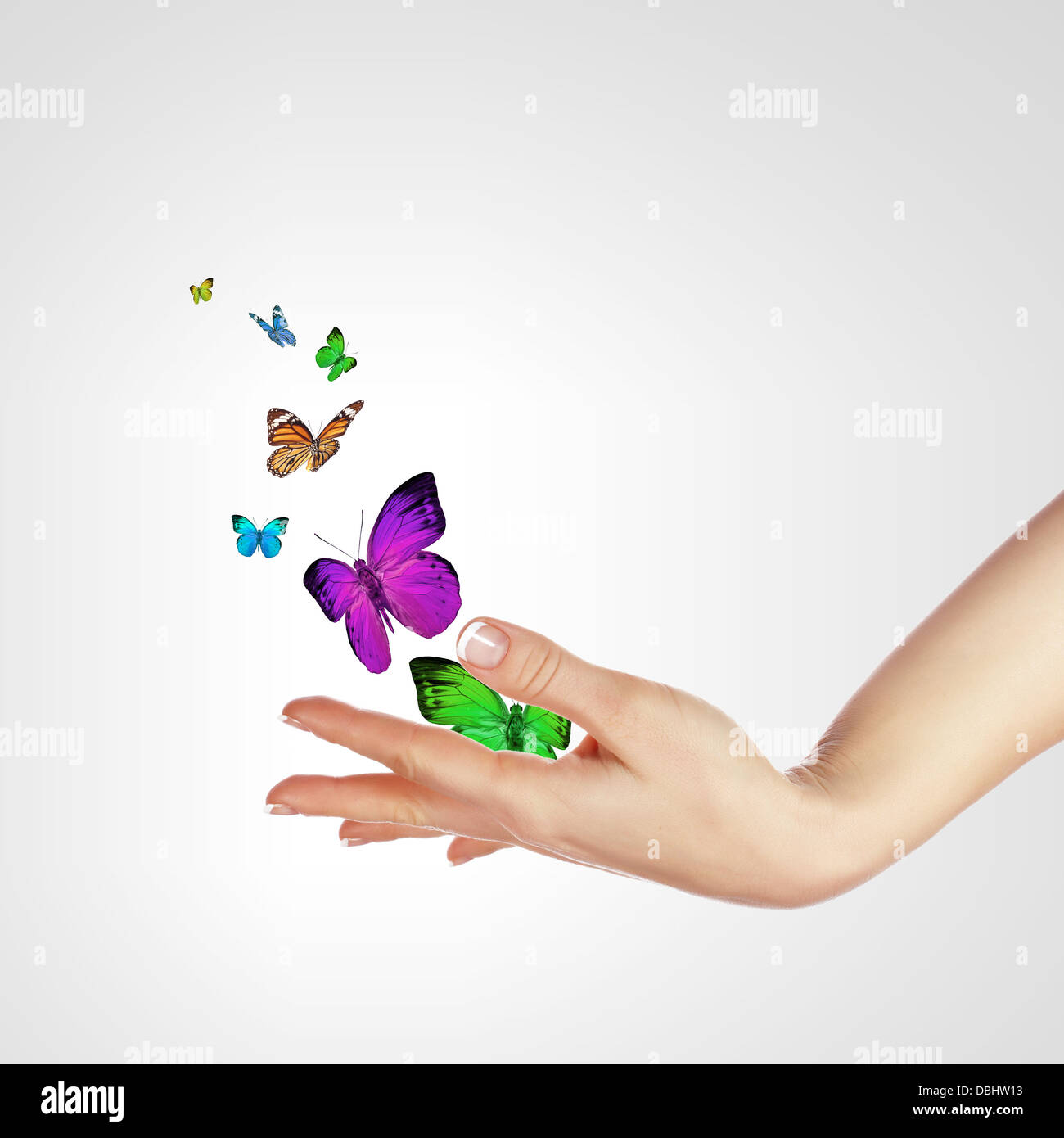 Hands releasing butterflies Stock Photo Alamy