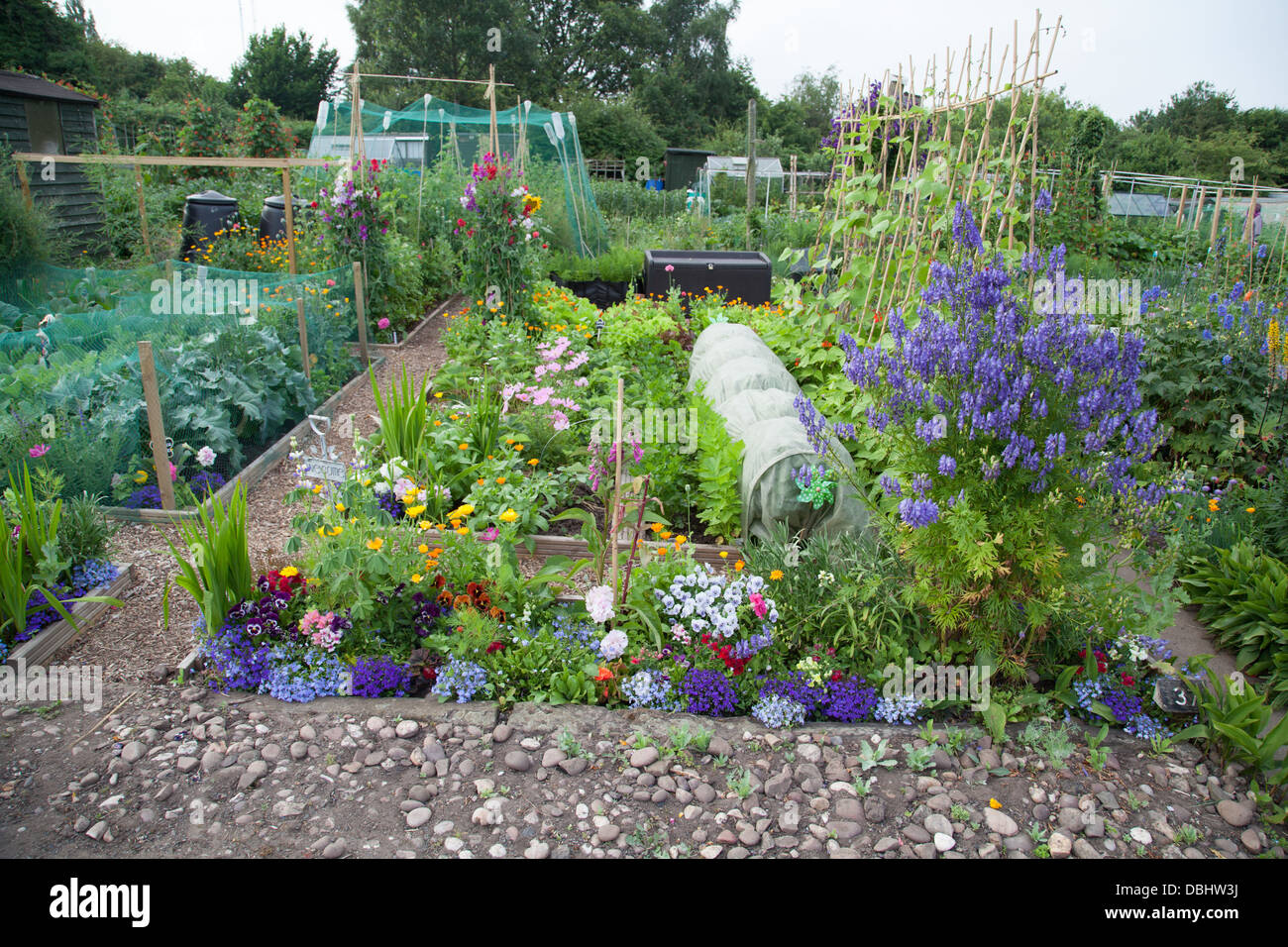 Urban allotment plot with flowers and vegetables Stock Photo 58785206
