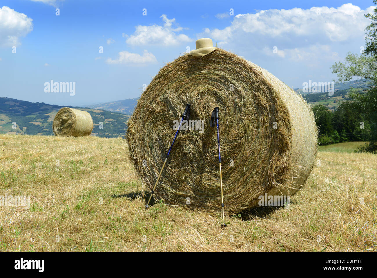 Summer hat and walkers poles on bale of hay in field Stock Photo