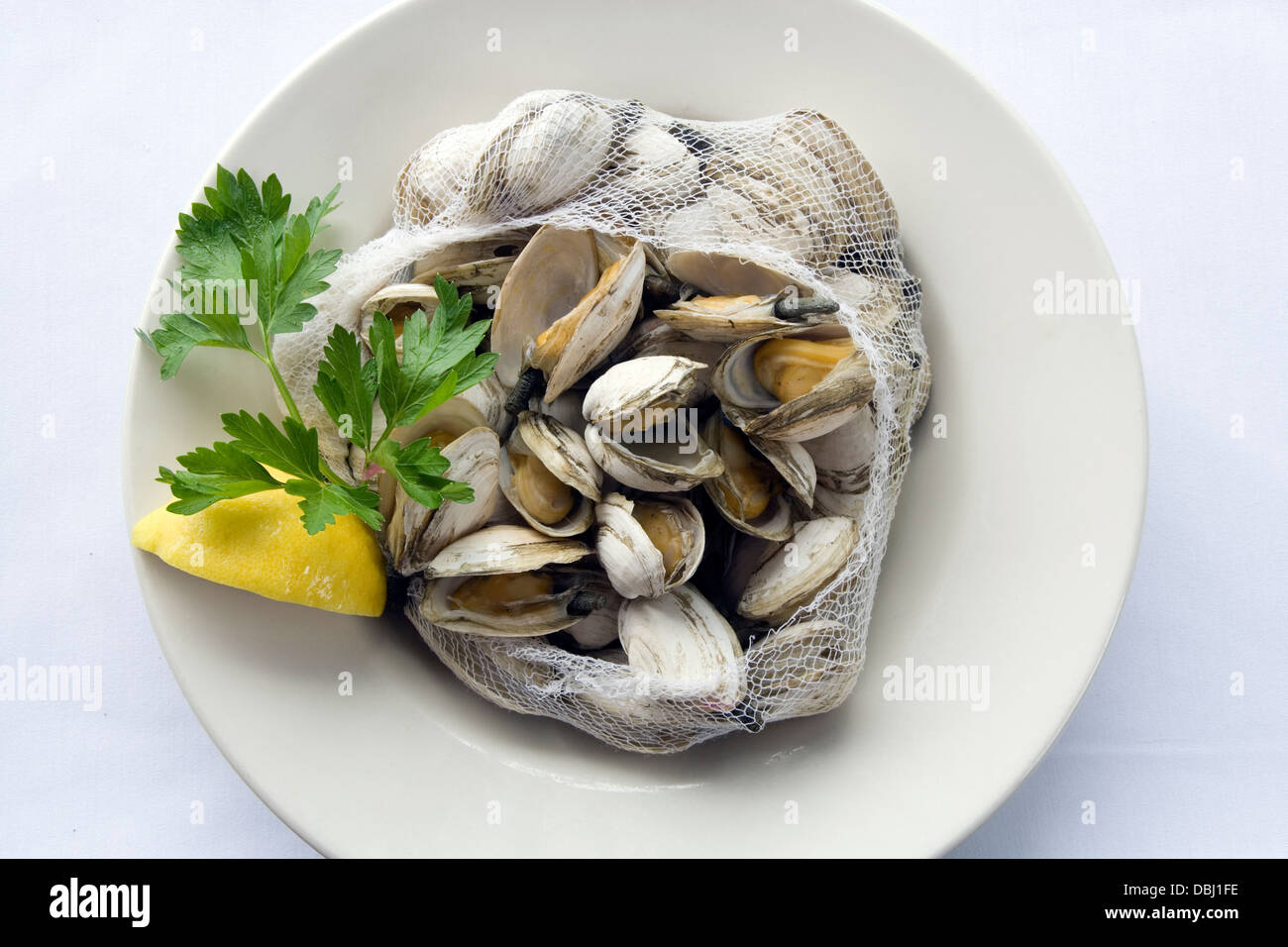 Steamed Rhode Island clams Stock Photo