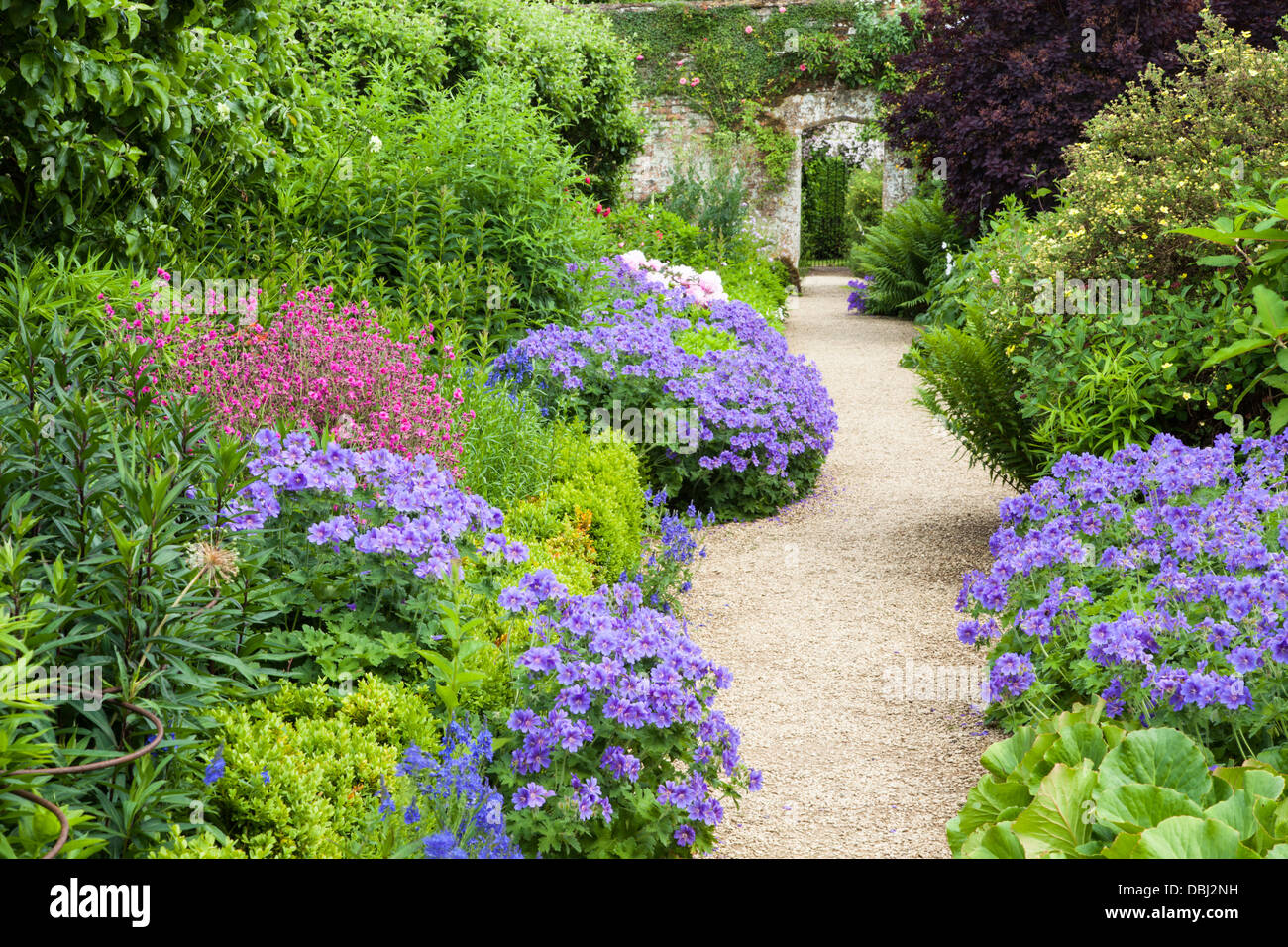 Garden design herbaceous border hi-res stock photography and images - Alamy
