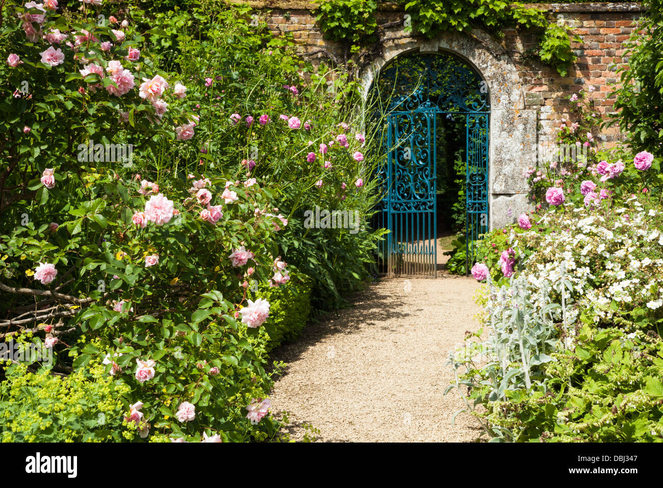 The arched gated entrance to the walled garden of Rousham House, with roses and peonies flanking the path, Oxfordshire, England Stock Photo