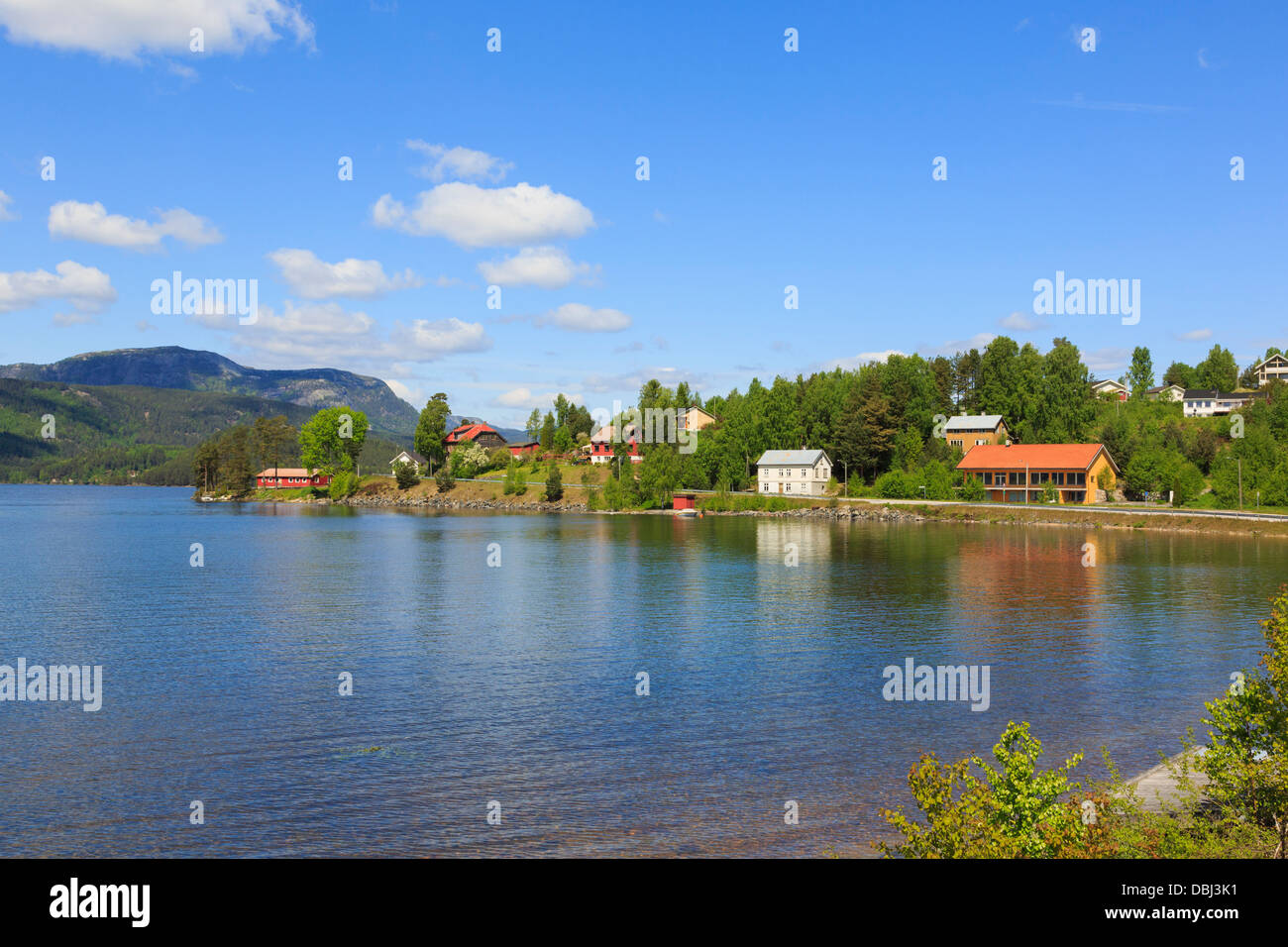View across traditional houses beside Lake Nisser in summer in Nissedal, Telemark county, southern Norway, Scandinavia Stock Photo
