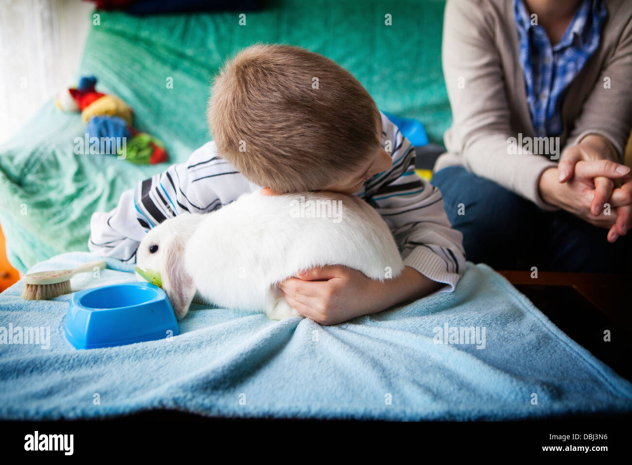 Therapy rabbit hi-res stock photography and images - Alamy